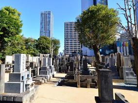 冬嶺山 松秀寺の全体写真
