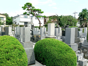 雲龍山 西念寺の入り口