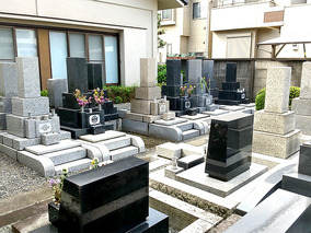 雲龍山 西念寺の全体写真